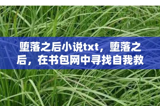 堕落之后小说txt,堕落之后,在书包网中寻找自我救赎的旅程 堕落之后小说txt,堕落之后,在书包网中寻找自我救赎的旅程