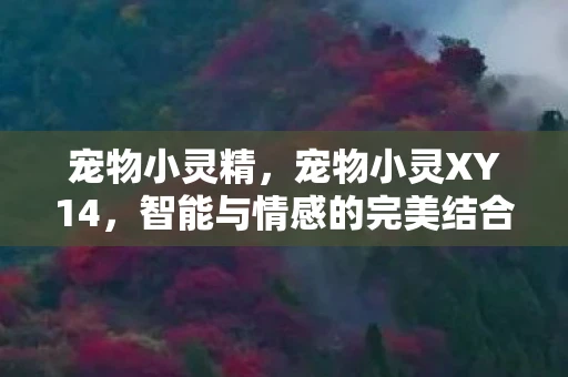 宠物小灵精,宠物小灵XY14,智能与情感的完美结合 宠物小灵精,宠物小灵XY14,智能与情感的完美结合