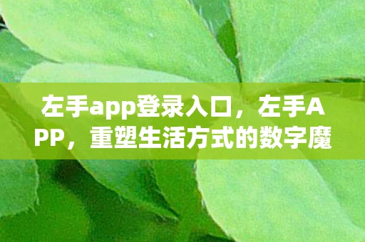 左手app登录入口，左手APP，重塑生活方式的数字魔法