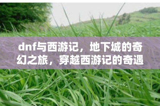 dnf与西游记，地下城的奇幻之旅，穿越西游记的奇遇