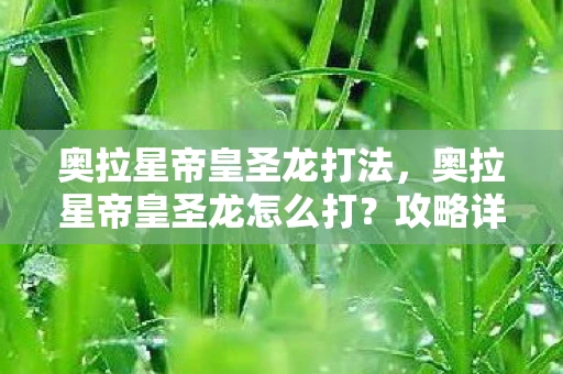 奥拉星帝皇圣龙打法，奥拉星帝皇圣龙怎么打？攻略详解