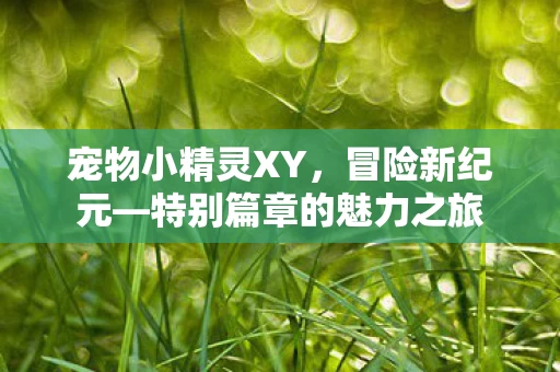 特别篇章的魅力之旅图片