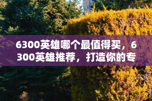 6300英雄哪个最值得买,6300英雄推荐,打造你的专属英雄阵容 6300英雄哪个最值得买,6300英雄推荐,打造你的专属英雄阵容