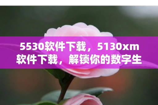 5530软件下载,5130xm软件下载,解锁你的数字生活新可能 5530软件下载,5130xm软件下载,解锁你的数字生活新可能