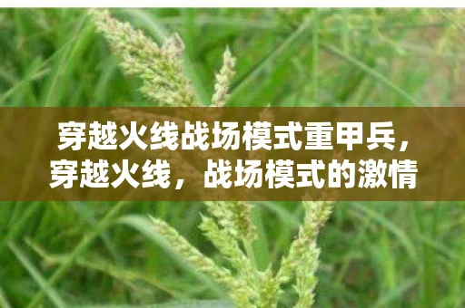 穿越火线战场模式重甲兵,穿越火线,战场模式的激情与策略 穿越火线战场模式重甲兵,穿越火线,战场模式的激情与策略