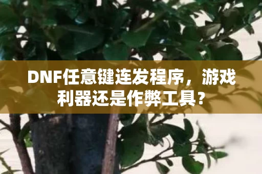 DNF任意键连发程序图片