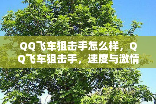 QQ飞车狙击手怎么样,QQ飞车狙击手,速度与激情的极限挑战 QQ飞车狙击手怎么样,QQ飞车狙击手,速度与激情的极限挑战