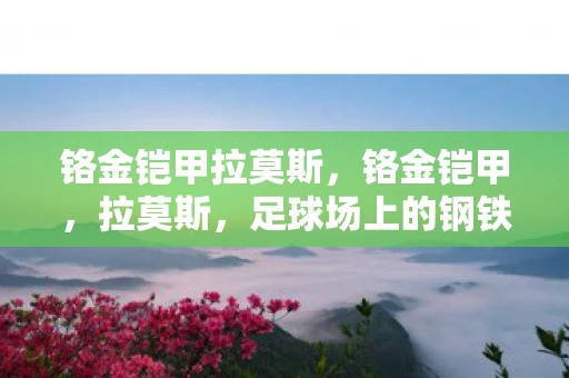 铬金铠甲拉莫斯,铬金铠甲,拉莫斯,足球场上的钢铁战士 铬金铠甲拉莫斯,铬金铠甲,拉莫斯,足球场上的钢铁战士