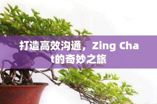 打造高效沟通,Zing Chat的奇妙之旅 打造高效沟通,Zing Chat的奇妙之旅