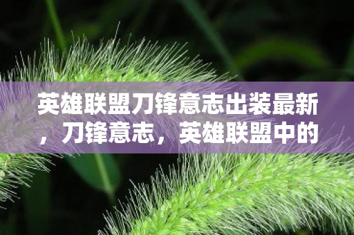 英雄联盟刀锋意志出装最新，刀锋意志，英雄联盟中的极致输出与生存之道