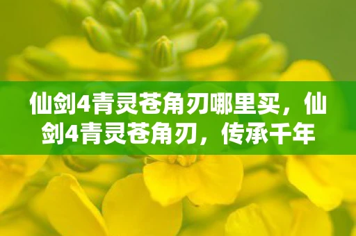 仙剑4青灵苍角刃哪里买,仙剑4青灵苍角刃,传承千年的神秘兵器 仙剑4青灵苍角刃哪里买,仙剑4青灵苍角刃,传承千年的神秘兵器