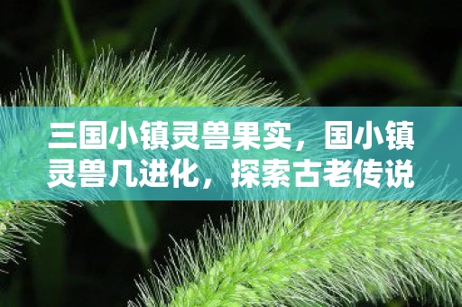 三国小镇灵兽果实,国小镇灵兽几进化,探索古老传说中的神秘生物 三国小镇灵兽果实,国小镇灵兽几进化,探索古老传说中的神秘生物