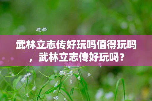 武林立志传好玩吗值得玩吗,武林立志传好玩吗? 武林立志传好玩吗值得玩吗,武林立志传好玩吗?