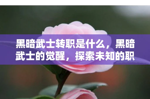 黑暗武士转职是什么，黑暗武士的觉醒，探索未知的职业转型之路