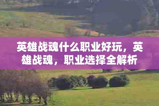 英雄战魂什么职业好玩，英雄战魂，职业选择全解析