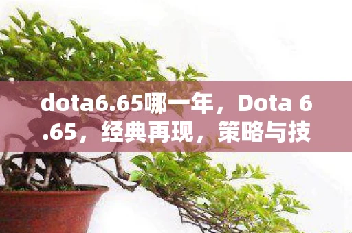 dota6.65哪一年，Dota 6.65，经典再现，策略与技术的巅峰对决