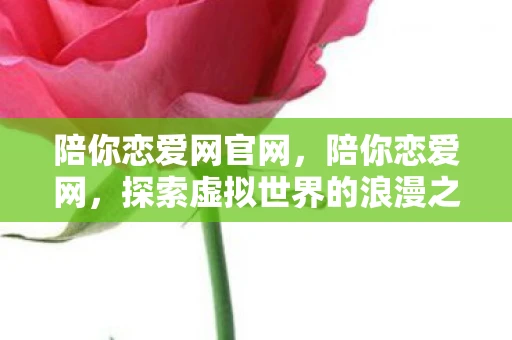 陪你恋爱网官网，陪你恋爱网，探索虚拟世界的浪漫之旅
