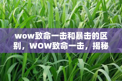 wow致命一击和暴击的区别，WOW致命一击，揭秘游戏中的致命伤害机制