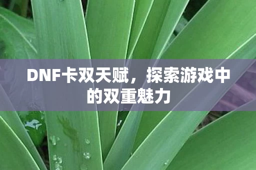 探索游戏中的双重魅力图片