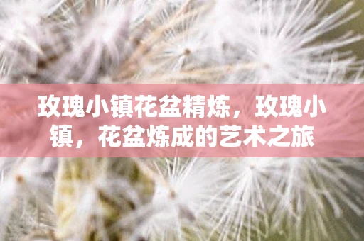 玫瑰小镇花盆精炼，玫瑰小镇，花盆炼成的艺术之旅