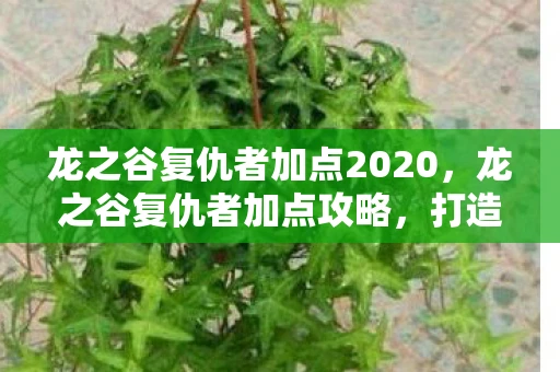 龙之谷复仇者加点2020，龙之谷复仇者加点攻略，打造最强战斗力的关键