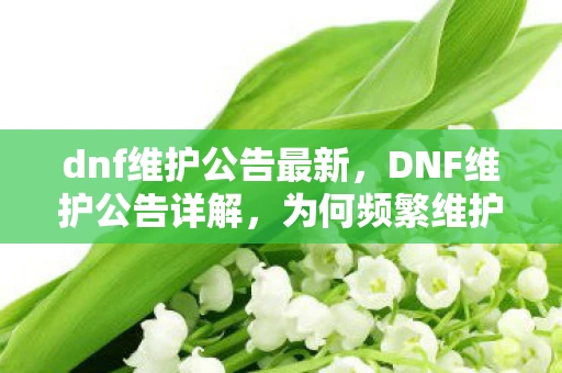 dnf维护公告最新，DNF维护公告详解，为何频繁维护，玩家如何应对？