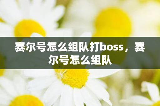 赛尔号怎么组队打boss，赛尔号怎么组队