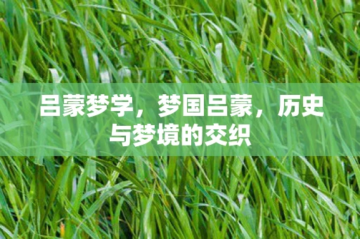 吕蒙梦学,梦国吕蒙,历史与梦境的交织 吕蒙梦学,梦国吕蒙,历史与梦境的交织