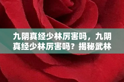 九阴真经少林厉害吗，九阴真经少林厉害吗？揭秘武林中少林派的真正实力