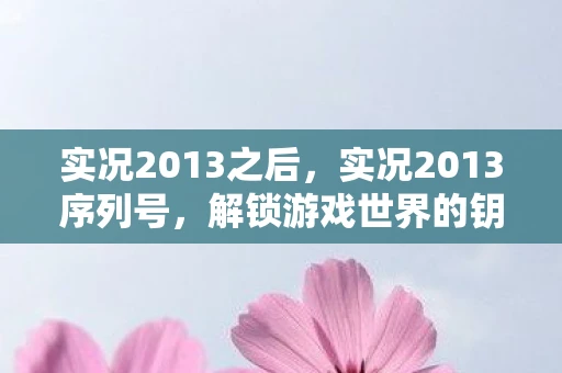 实况2013之后，实况2013序列号，解锁游戏世界的钥匙