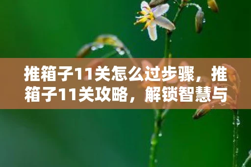 推箱子11关怎么过步骤,推箱子11关攻略,解锁智慧与耐心的挑战 推箱子11关怎么过步骤,推箱子11关攻略,解锁智慧与耐心的挑战