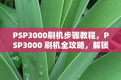 PSP3000刷机步骤教程,PSP3000 刷机全攻略,解锁无限可能,打造个性化游戏体验 PSP3000刷机步骤教程,PSP3000 刷机全攻略,解锁无限可能,打造个性化游戏体验