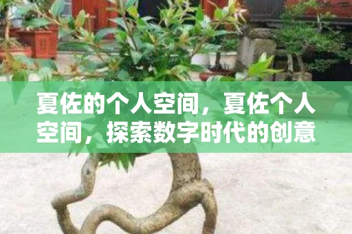 夏佐的个人空间,夏佐个人空间,探索数字时代的创意与灵感 夏佐的个人空间,夏佐个人空间,探索数字时代的创意与灵感
