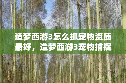 造梦西游3怎么抓宠物资质最好,造梦西游3宠物捕捉全攻略,打造你的专属萌宠 造梦西游3怎么抓宠物资质最好,造梦西游3宠物捕捉全攻略,打造你的专属萌宠