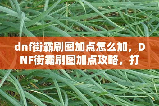 dnf街霸刷图加点怎么加，DNF街霸刷图加点攻略，打造高效战斗力的关键