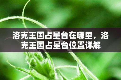 洛克王国占星台在哪里，洛克王国占星台位置详解