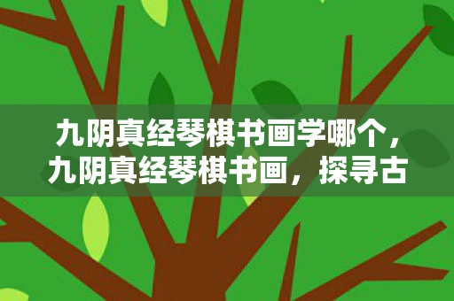 九阴真经琴棋书画学哪个，九阴真经琴棋书画，探寻古典文化的魅力