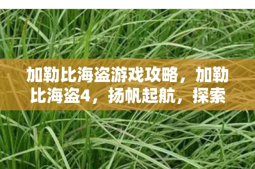 加勒比海盗游戏攻略，加勒比海盗4，扬帆起航，探索未知海域