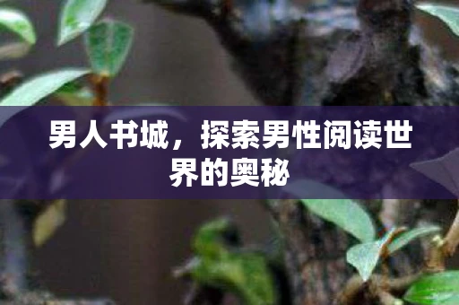男人书城，探索男性阅读世界的奥秘