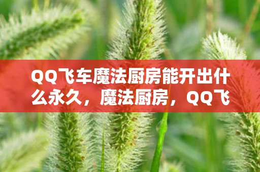 QQ飞车魔法厨房能开出什么永久,魔法厨房,QQ飞车中的奇幻料理 QQ飞车魔法厨房能开出什么永久,魔法厨房,QQ飞车中的奇幻料理