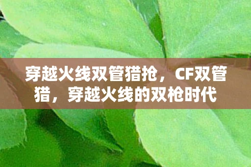 穿越火线双管猎抢，CF双管猎，穿越火线的双枪时代