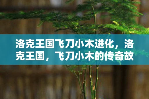 洛克王国飞刀小木进化,洛克王国,飞刀小木的传奇故事 洛克王国飞刀小木进化,洛克王国,飞刀小木的传奇故事