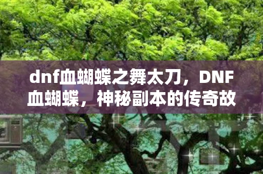 dnf血蝴蝶之舞太刀，DNF血蝴蝶，神秘副本的传奇故事与攻略指南