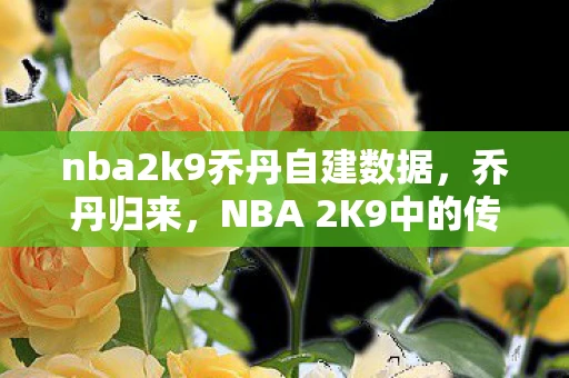 nba2k9乔丹自建数据，乔丹归来，NBA 2K9中的传奇补丁
