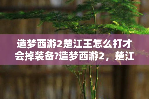 造梦西游2楚江王怎么打才会掉装备?造梦西游2，楚江王的挑战攻略