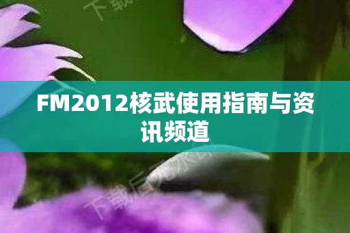 FM2012核武使用指南与资讯频道图片