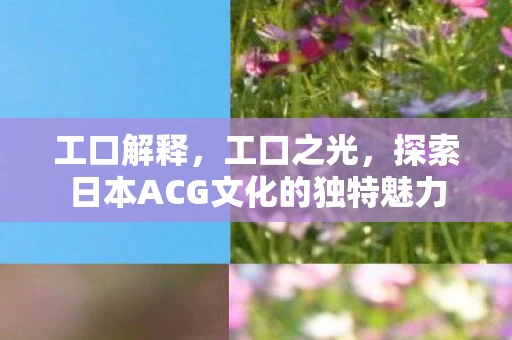 工口解释，工口之光，探索日本ACG文化的独特魅力
