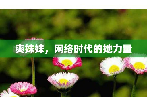 爽妹妹,网络时代的她力量 爽妹妹,网络时代的她力量