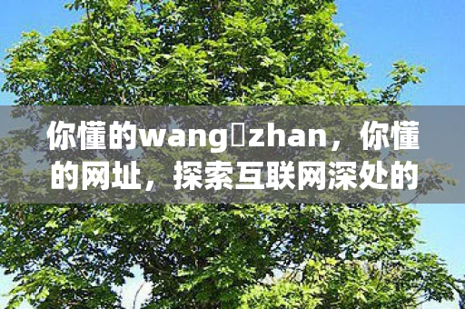 你懂的wang zhan，你懂的网址，探索互联网深处的秘密