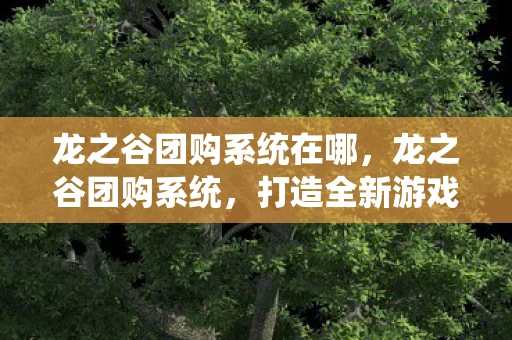 龙之谷团购系统在哪，龙之谷团购系统，打造全新游戏社交体验